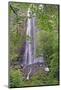 Silver Falls, Golden and Silver Falls State Natural Area, Oregon-Adam Jones-Mounted Photographic Print