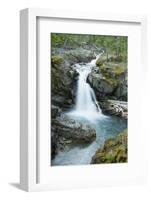 Silver Falls, Mount Rainier National Park, Washington, Usa-Michel Hersen-Framed Photographic Print