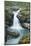 Silver Falls, Mount Rainier National Park, Washington, Usa-Michel Hersen-Mounted Photographic Print