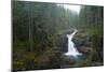 Silver Falls On The Ohanapecosh River In Mt. Rainier National Park, WA-Justin Bailie-Mounted Photographic Print