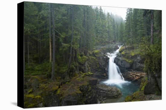 Silver Falls On The Ohanapecosh River In Mt. Rainier National Park, WA-Justin Bailie-Stretched Canvas
