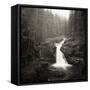 Silver Falls On The Ohanapecosh River In Mt. Rainier National Park, WA-Justin Bailie-Framed Stretched Canvas