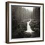 Silver Falls On The Ohanapecosh River In Mt. Rainier National Park, WA-Justin Bailie-Framed Photographic Print