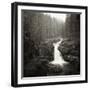 Silver Falls On The Ohanapecosh River In Mt. Rainier National Park, WA-Justin Bailie-Framed Photographic Print