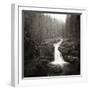 Silver Falls On The Ohanapecosh River In Mt. Rainier National Park, WA-Justin Bailie-Framed Photographic Print