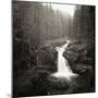 Silver Falls On The Ohanapecosh River In Mt. Rainier National Park, WA-Justin Bailie-Mounted Photographic Print