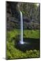 Silver Falls-Oregon 1-Bill Sherrell-Mounted Photographic Print