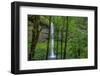 Silver Falls-Oregon 2-Bill Sherrell-Framed Photographic Print