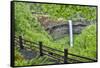 Silver Falls State Park, Oregon. South Falls and trail leading to it.-Darrell Gulin-Framed Stretched Canvas