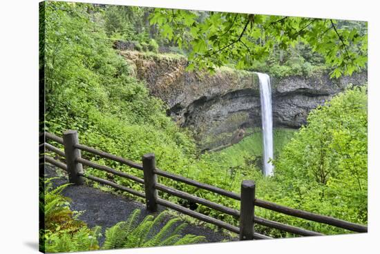 Silver Falls State Park, Oregon. South Falls and trail leading to it.-Darrell Gulin-Stretched Canvas