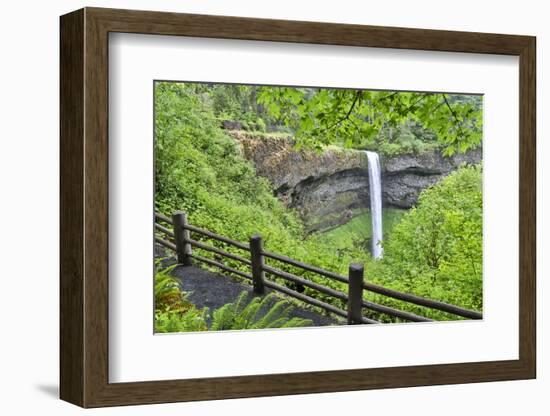 Silver Falls State Park, Oregon. South Falls and trail leading to it.-Darrell Gulin-Framed Photographic Print
