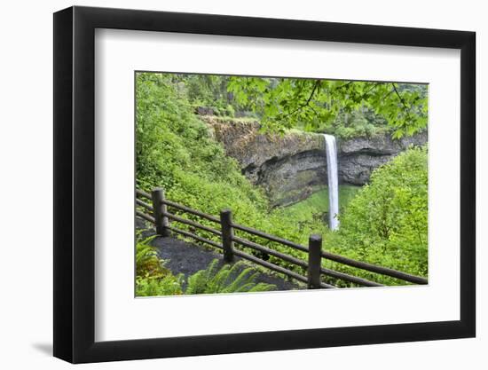 Silver Falls State Park, Oregon. South Falls and trail leading to it.-Darrell Gulin-Framed Photographic Print