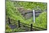 Silver Falls State Park, Oregon. South Falls and trail leading to it.-Darrell Gulin-Mounted Photographic Print