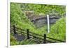 Silver Falls State Park, Oregon. South Falls and trail leading to it.-Darrell Gulin-Framed Photographic Print