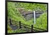 Silver Falls State Park, Oregon. South Falls and trail leading to it.-Darrell Gulin-Framed Photographic Print