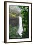 Silver Falls State Park, Oregon - South Falls-Lantern Press-Framed Art Print