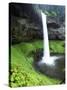 Silver Falls State Park, View of South Silver National Forest, Oregon, USA-Stuart Westmorland-Stretched Canvas