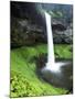 Silver Falls State Park, View of South Silver National Forest, Oregon, USA-Stuart Westmorland-Mounted Premium Photographic Print