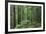 Silver Falls Trail, Mt. Rainier National Park, Washington, USA-Jamie & Judy Wild-Framed Photographic Print