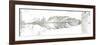 Silver Feather-OnRei-Framed Art Print