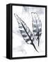 Silver Feathers-OnRei-Framed Stretched Canvas