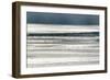 Silver Fish-Viviane Fedieu Daniel-Framed Photographic Print