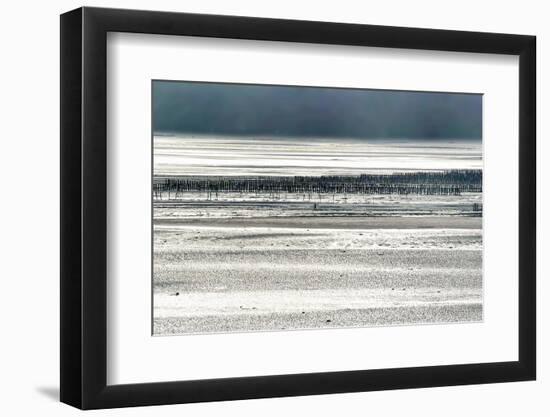 Silver Fish-Viviane Fedieu Daniel-Framed Photographic Print