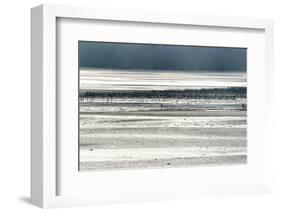 Silver Fish-Viviane Fedieu Daniel-Framed Photographic Print