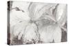 Silver Floral-Asia Jensen-Stretched Canvas