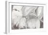 Silver Floral-Asia Jensen-Framed Art Print