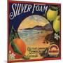 Silver Foam Brand - Colton, California - Citrus Crate Label-Lantern Press-Mounted Art Print