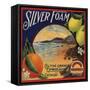 Silver Foam Brand - Colton, California - Citrus Crate Label-Lantern Press-Framed Stretched Canvas