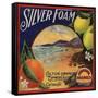 Silver Foam Brand - Colton, California - Citrus Crate Label-Lantern Press-Framed Stretched Canvas