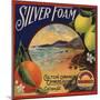 Silver Foam Brand - Colton, California - Citrus Crate Label-Lantern Press-Mounted Art Print
