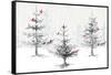 Silver Forest with Cardinals-Lanie Loreth-Framed Stretched Canvas