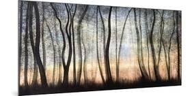 Silver Forest-Graham Reynolds-Mounted Giclee Print