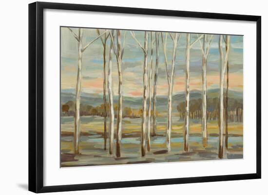 Silver Forest-Silvia Vassileva-Framed Art Print