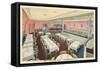 Silver Fox Diner-null-Framed Stretched Canvas