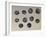 Silver Gallic Coins, Gallic Coins-null-Framed Giclee Print