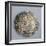 Silver Giustina, Valued at Eight Lire, or 160 Soldi, Minted in Venice under Doge Pasquale Cicogna-null-Framed Giclee Print