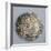 Silver Giustina, Valued at Eight Lire, or 160 Soldi, Minted in Venice under Doge Pasquale Cicogna-null-Framed Giclee Print