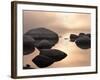 Silver & Gold-Elizabeth Carmel-Framed Photographic Print