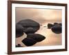 Silver & Gold-Elizabeth Carmel-Framed Photographic Print