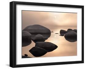 Silver & Gold-Elizabeth Carmel-Framed Photographic Print