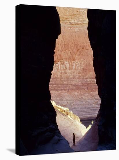 Silver Gorge, Grand Canyon, USA-John Warburton-lee-Stretched Canvas