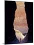Silver Gorge, Grand Canyon, USA-John Warburton-lee-Mounted Photographic Print