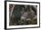 Silver - Gray Squirrel-wollertz-Framed Photographic Print