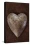 Silver Heart-Den Reader-Stretched Canvas