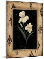 Silver Iris-Regina-Andrew Design-Mounted Art Print