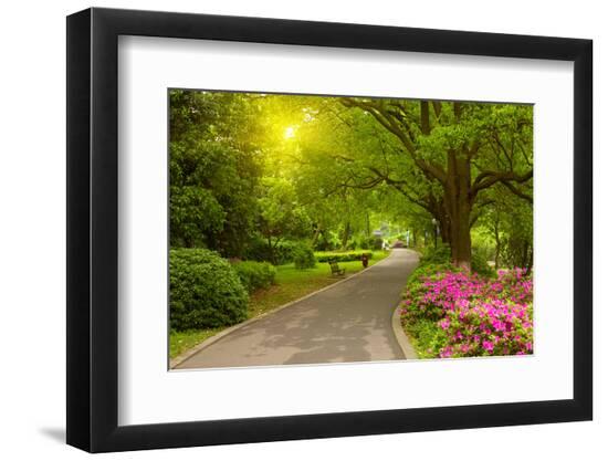 Premium Photographic Print, , large